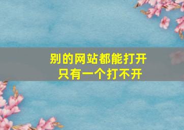 别的网站都能打开 只有一个打不开